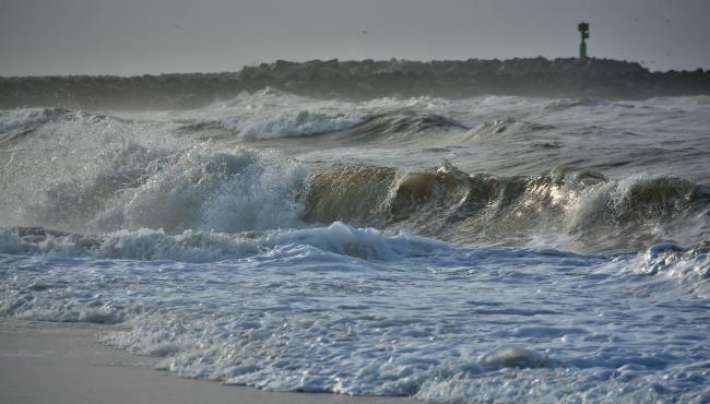 Kystsikring ved Hvide Sande